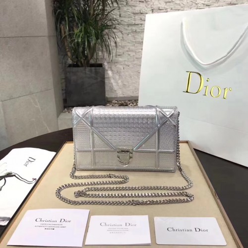 Dior Bag 015